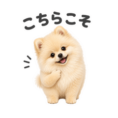 mao_20260609172427