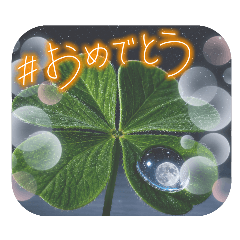 kimoti 01