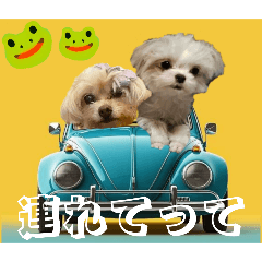 takayo_20260609171945