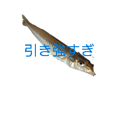 JAPANESE SEA