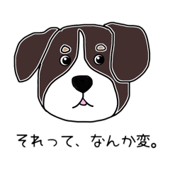 shirasuchan_20260609202357