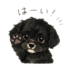 minami_20260609202422