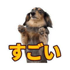 mor_20260609202947