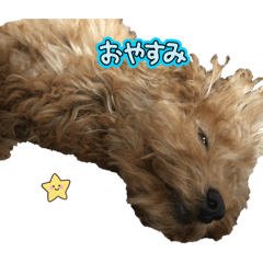 Mugi_20261105
