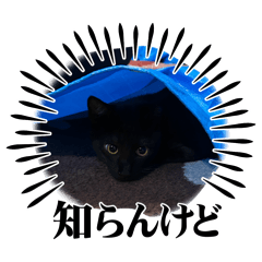 Aya_20260609204839