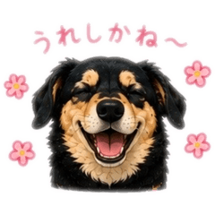 saku_20260609204812