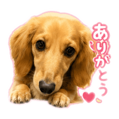 nori_20260609205752