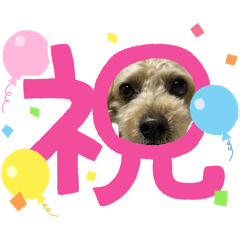 non_20260609210506