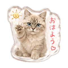 Tia_20260609210102