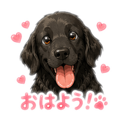 BuddyDOGS