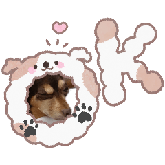 takaramonostamp