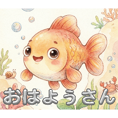 nagoyaben kingyo  1