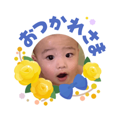 Pan_20260609213511