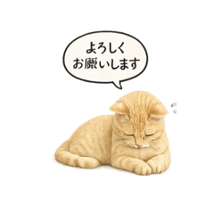 GAO_20260609214845