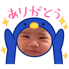 oimo_20260609214506