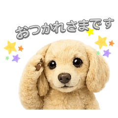Meron_20260609214936