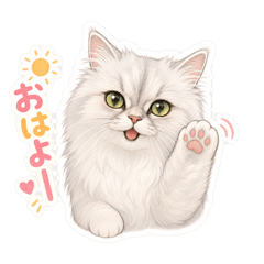 SAYU_20260609215049