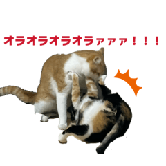 Chihiro_20260609223046