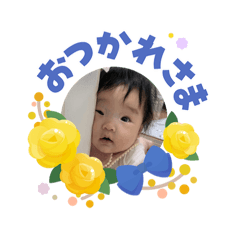 kt_20260609230134