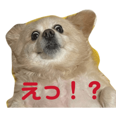 Hana_20260609231534