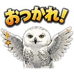YAPPY_20260609231736