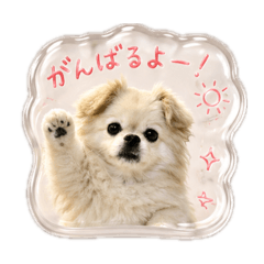 yone_20260609234728