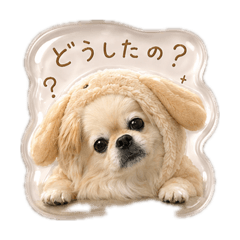 yone_20260609235817
