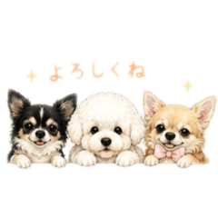 mayu_20260610001749