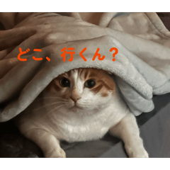 ekusiek_20260610005204