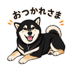 Daichi_20260608225305