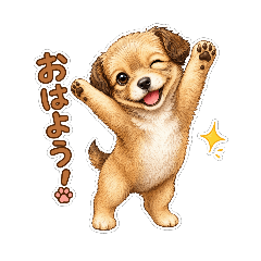 Cute everyday stickers.