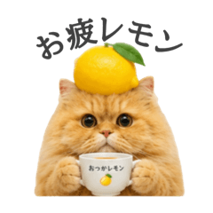 nao_20260608233616