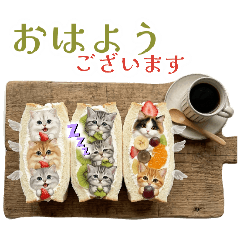 rei_20260610021835