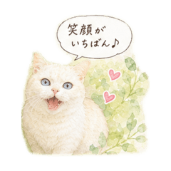 Keith_20260610065236