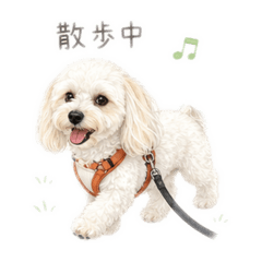 hayate_20260610073721