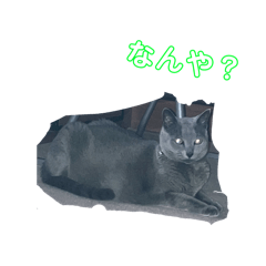 Syunsuke_20260610074711