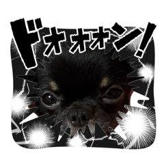 tyako_20260610075250