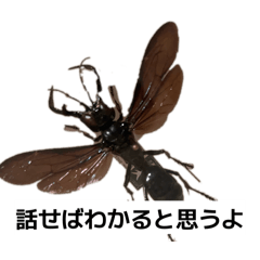 TAKAMoTo_20260610075201