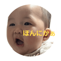 mei_20260610080311