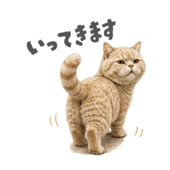 lily_20260610080048
