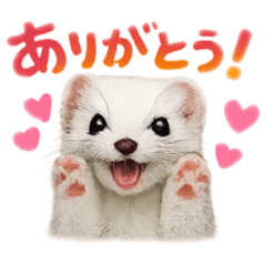 Hina_20260610081731