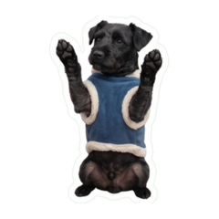 bibakko._20260610082251