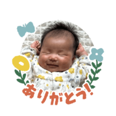 shio_20260610081021