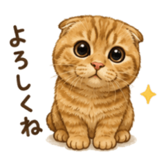kohaku_20260610081553