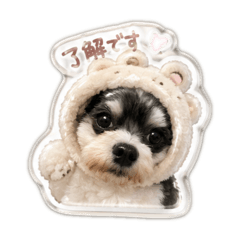 mai-seko