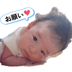 anmona_20260610082035
