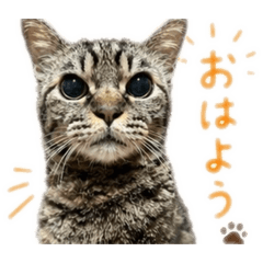 motsuka_20260610081808