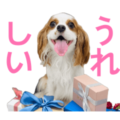 Winry_20260610082728