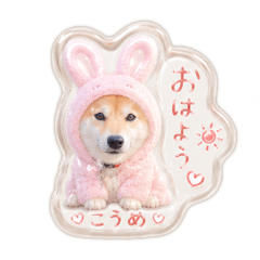 kana_20260610093037