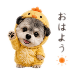 Rui_20260610091812